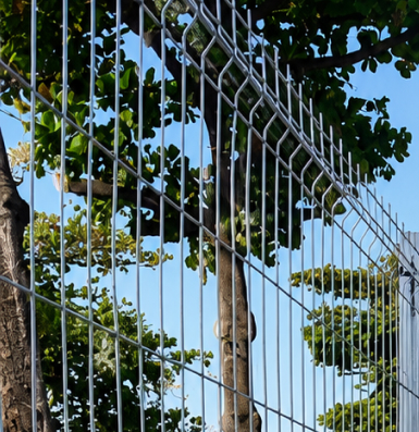 Gradil Stadium para cercamento de áreas de preservação